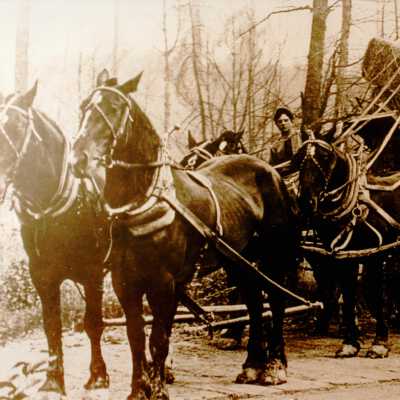 Spring Hill Lumber Team