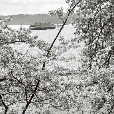 Ferry in spring