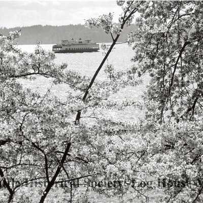 Ferry in spring: Origformat: Print-Photographic; Resolution: 200