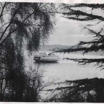 Fauntleroy Ferry
