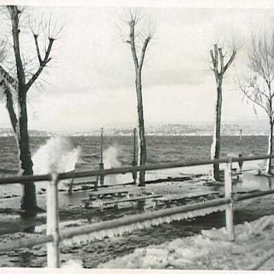 Ice Storm