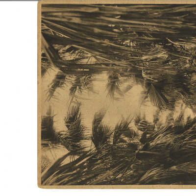 Photographs (set of 7)