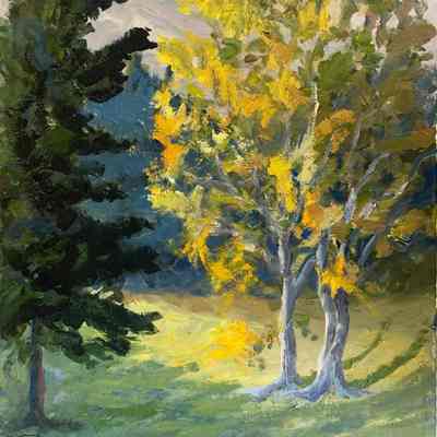 Landscape