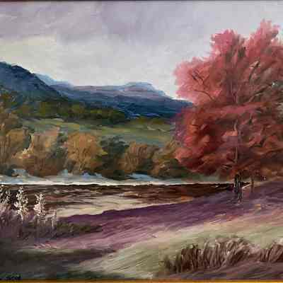 Landscape