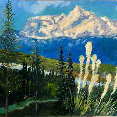 Bear Grass