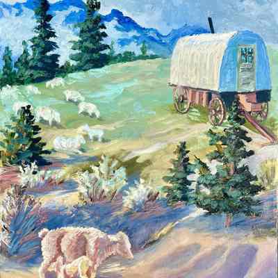 Sheep Camp