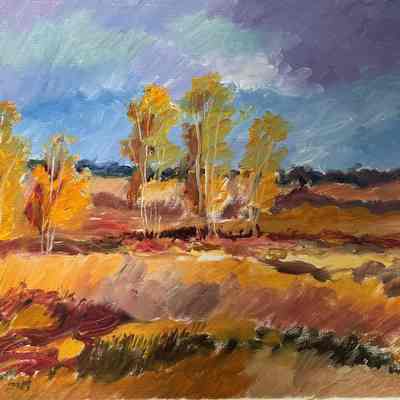 Landscape