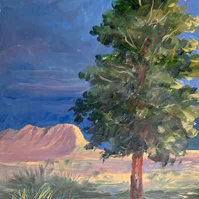 Landscape