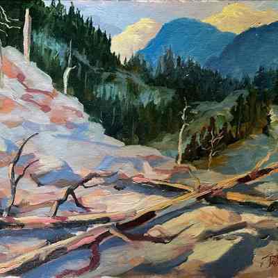 Landscape