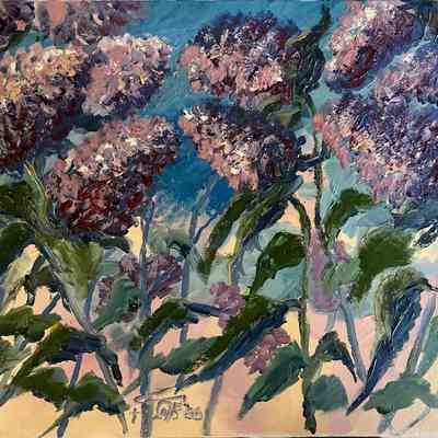 A Season of Lilacs