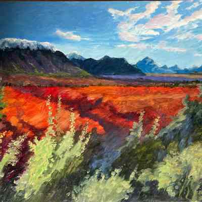 Landscape