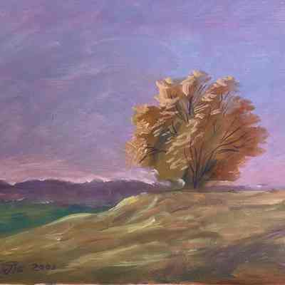 Landscape