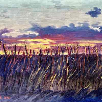 Landscape