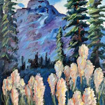 Landscape