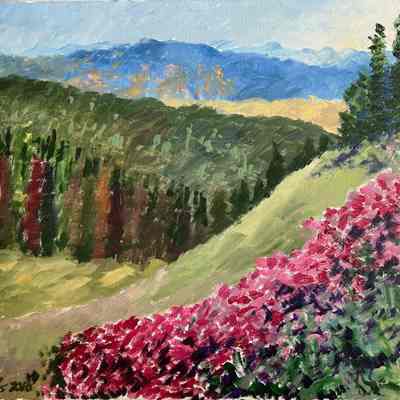 Landscape