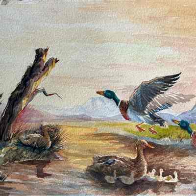 Watercolor ducks