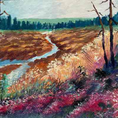 Landscape