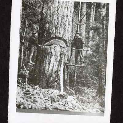 Photograph of two logging on a spring board