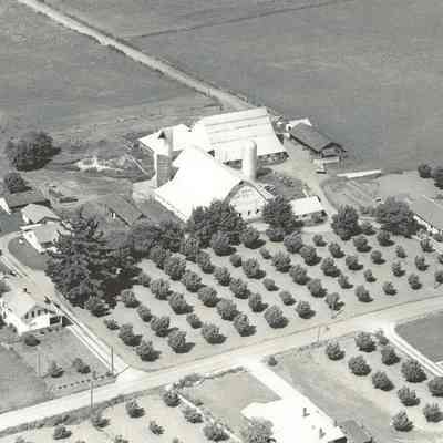 Photograph of Berg Brothers Dairy Farm and Homes, Thurston, Oregon, Undated