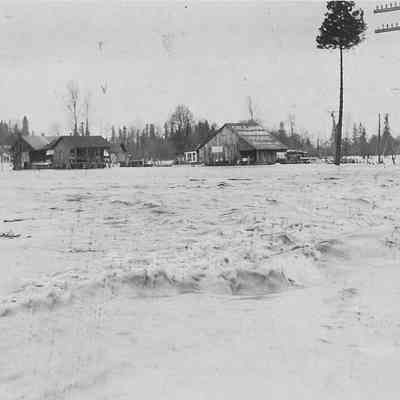 Photograph on postcard of flood near barnyard, date unknown