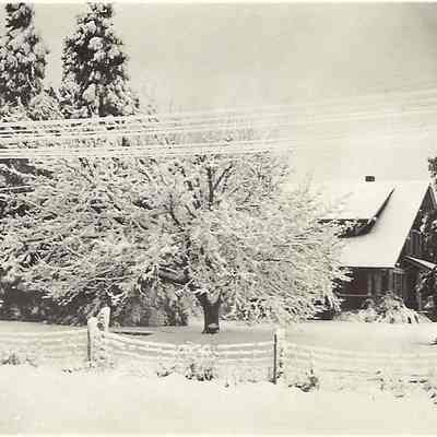 Photograph of Winter at the Gorrie Farm, Springfield, Oregon