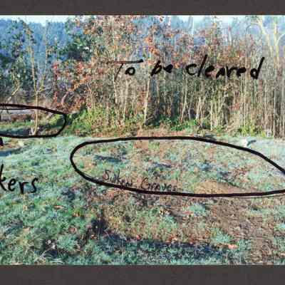 Photograph of Grave Markers and To Be Cleared Area in Glenwood Cemetery, 1980-1999