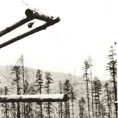 Photograph of end of logging boom