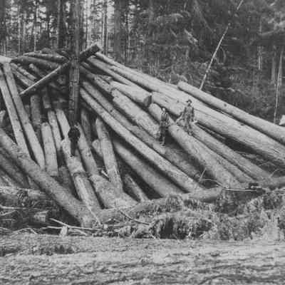 Photograph of Jasper Hills Logging Camp, Goodman Place, Willamette River, Oregon 1904
