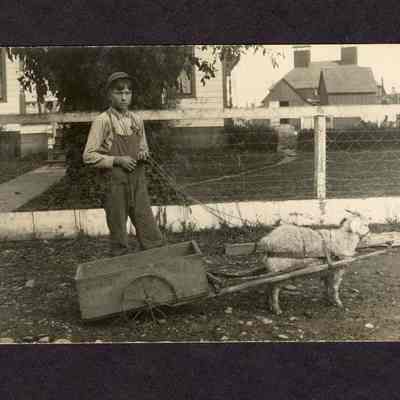 Photograph on postcard of Walter Ingram