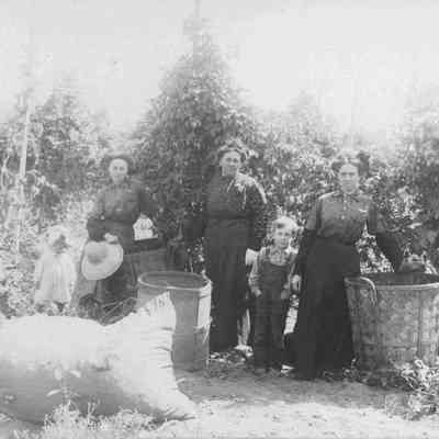 Photograph of three unknown women, and two unknown children posing in hop yard