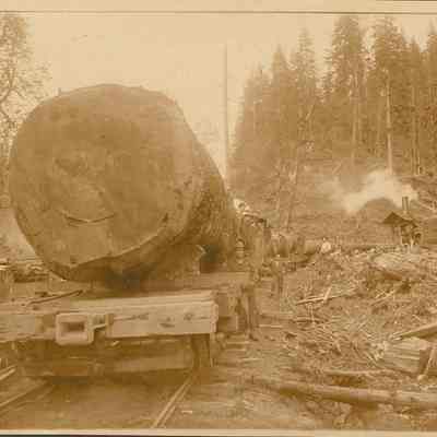 Photograph of railroad cars of logs with crew, Skamokawa, Washington