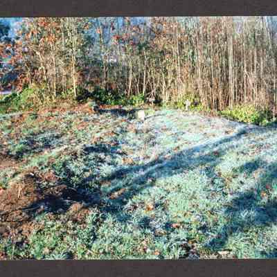 Photograph of Glenwood Cemetery Grave Markers, 1980-1999
