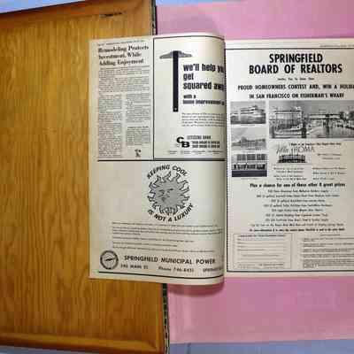 Pages 116 and 117 Springfield News (pages 2 and 3)