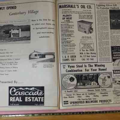 Pages 116 and 117 Springfield News (pages 8 and 9)