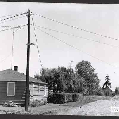 Photograph of utility pole and power lines, Pacific Power and Light, Springfield, Oregon, 1954