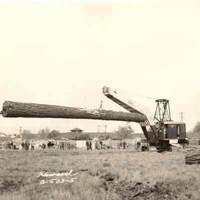 Photograph of a Hal Boom moving Logs at a Lumber Mill, unknown date and location