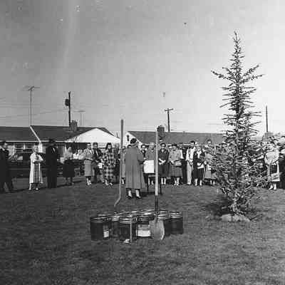 Photograph of planting time capsule near Centennial tree, 1959