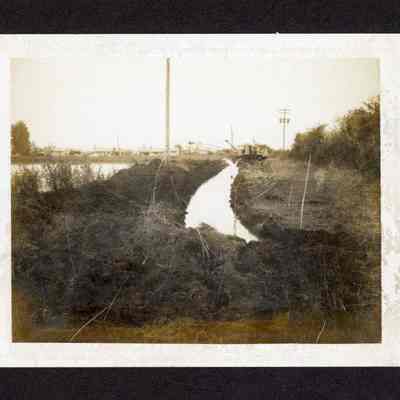 Photograph of Golden Gardens (Eugene), undated