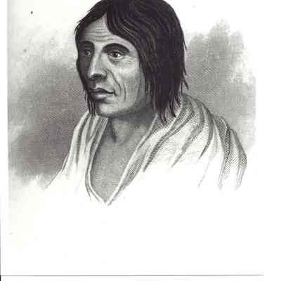 Photograph of a drawing of a Calapooya Indian man, undated