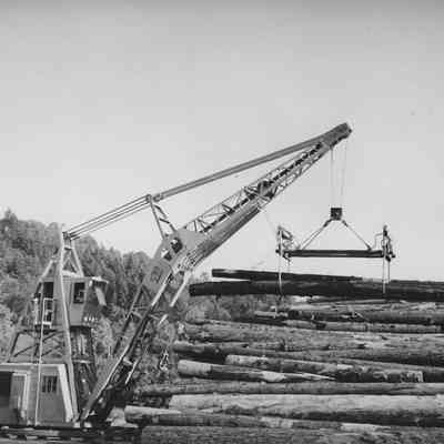 Photograph of logs being moved by crane