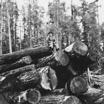 Cold Deck, two loggers