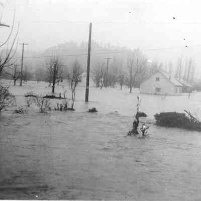 Photograph of the 1927 Glenwood Flood, Springfield, Oregon