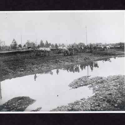 Photograph of Field Being Farmed, Undated