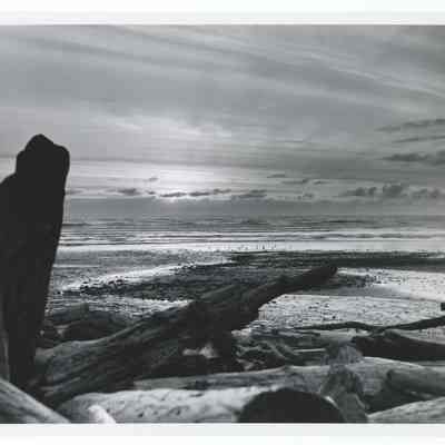 Photograph of Neptune State Park, Oregon, circa 1969