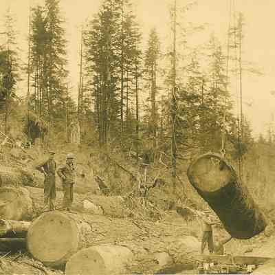 Photograph of four unidentified loggers Loading Logs, date unknown