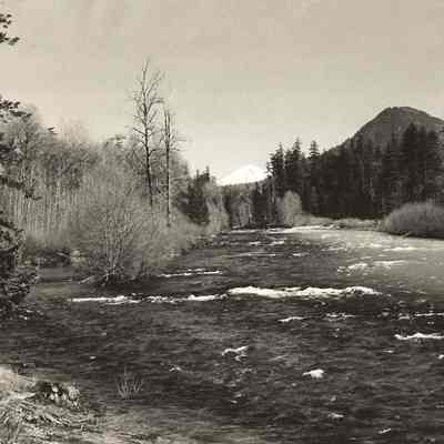 Photograph of a River and Forest, Unknown location, Spring 1945