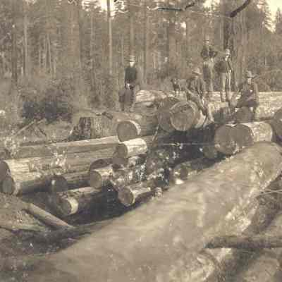 Photograph of five unidentified men on logs at Alec Lewis Camp, Little Fall Creek, Fall Creek, Oregon, circa 1903