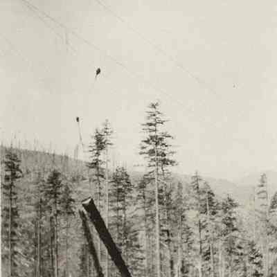 Photograph of logging on hillside