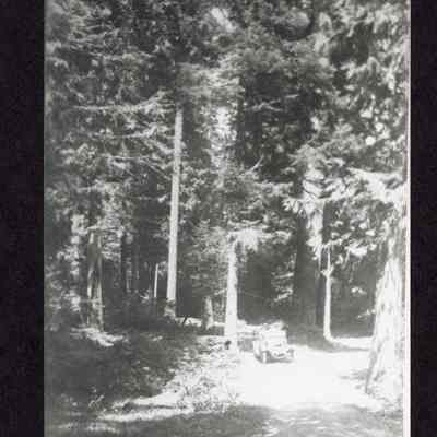 Photograph of early automobile in wooded area on dirt road, Eugene, Oregon