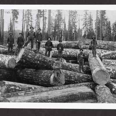 Photograph of logging crew of nine people, Upper Mohawk River